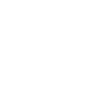 BUWOG